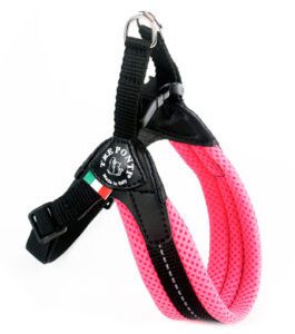 Pettorina Easy Fit (sottopancia regolabile) Tre Ponti
Taglia 1 per cani con peso <3 Kg
Taglia 2 e 2 1/2  per cani con peso <6 Kg
