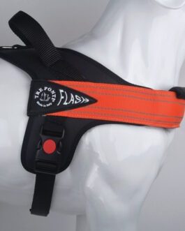 Pettorina  Flash Tre Ponti
Disponibile taglia M- L – XL- XXL