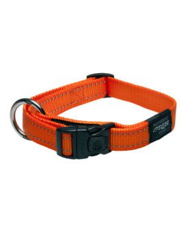 Collare Rogz Nylon Nitelife
 Taglia large 34-56 cm.
